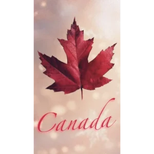 Maple Leaf